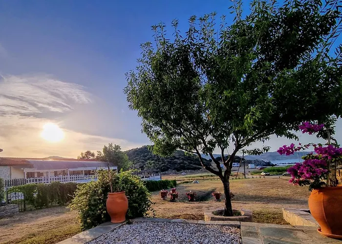 Ktima Amitsa & Appartement Sarti