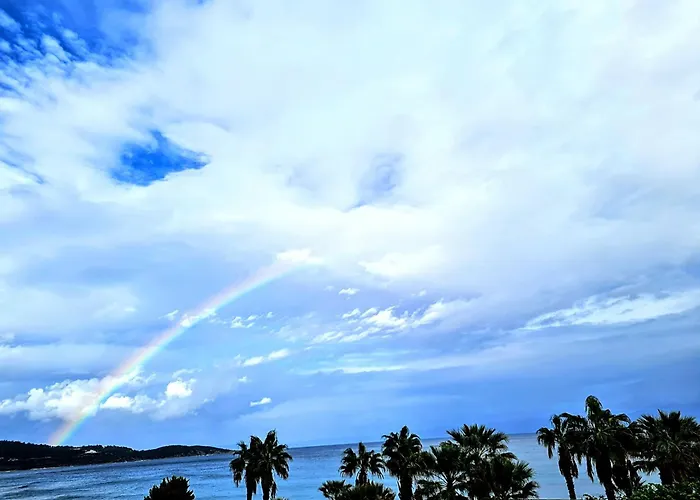 Ktima Amitsa & Sarti