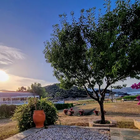 Ktima Amitsa & Apartamento Sárti